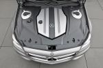 Mercedes-Benz CLS Shooting Break Concept 2010 года